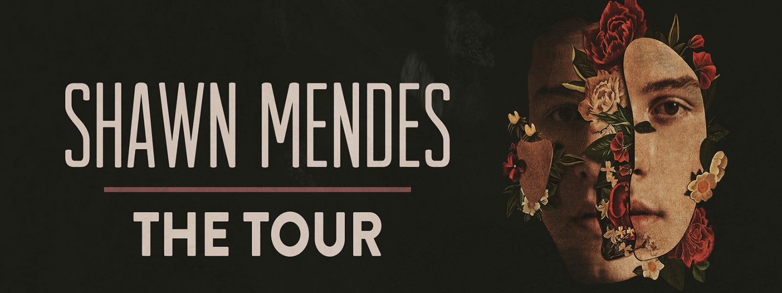 Shawn Mendes