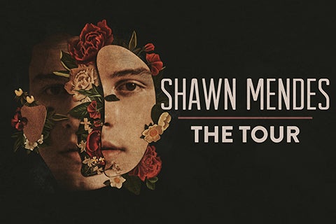 ShawnMendes_480x320 (1).jpg